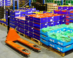 Manual hydraulic forklift for handling goods in fruit temperature controlled warehouse